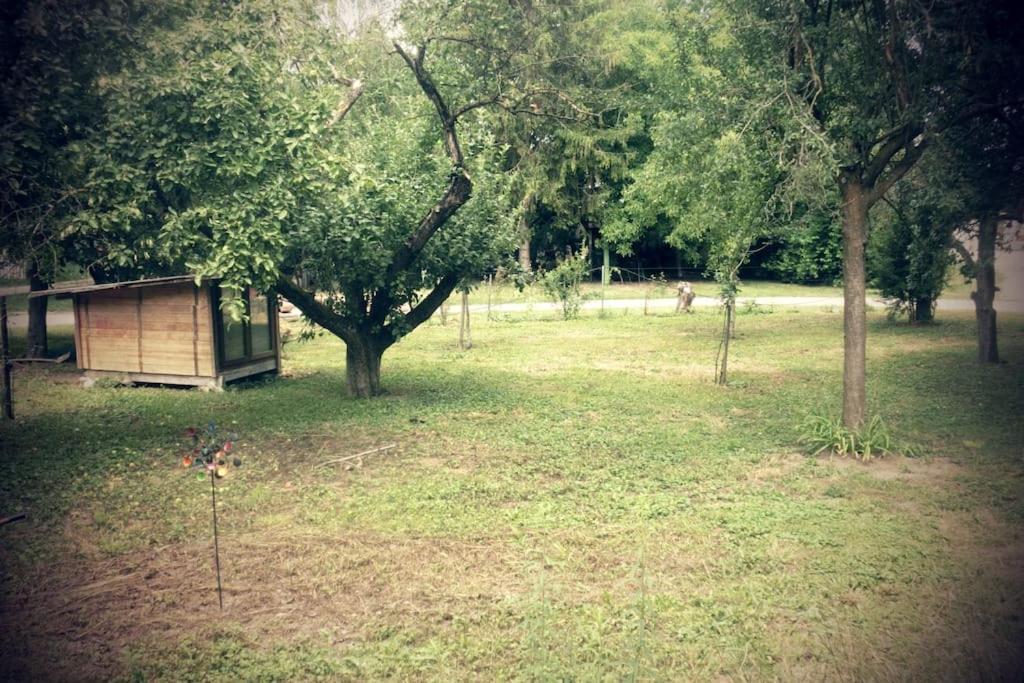 Ferienwohnung Im Gruenen Gottenheim Экстерьер фото