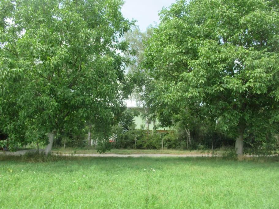 Ferienwohnung Im Gruenen Gottenheim Экстерьер фото
